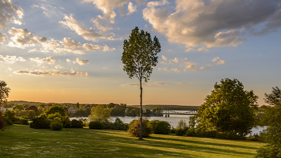 Potsdam City