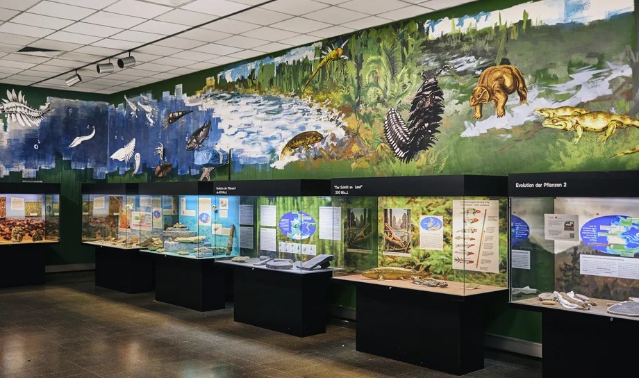 ein museum von innen mit wandmalerei und vitrinen