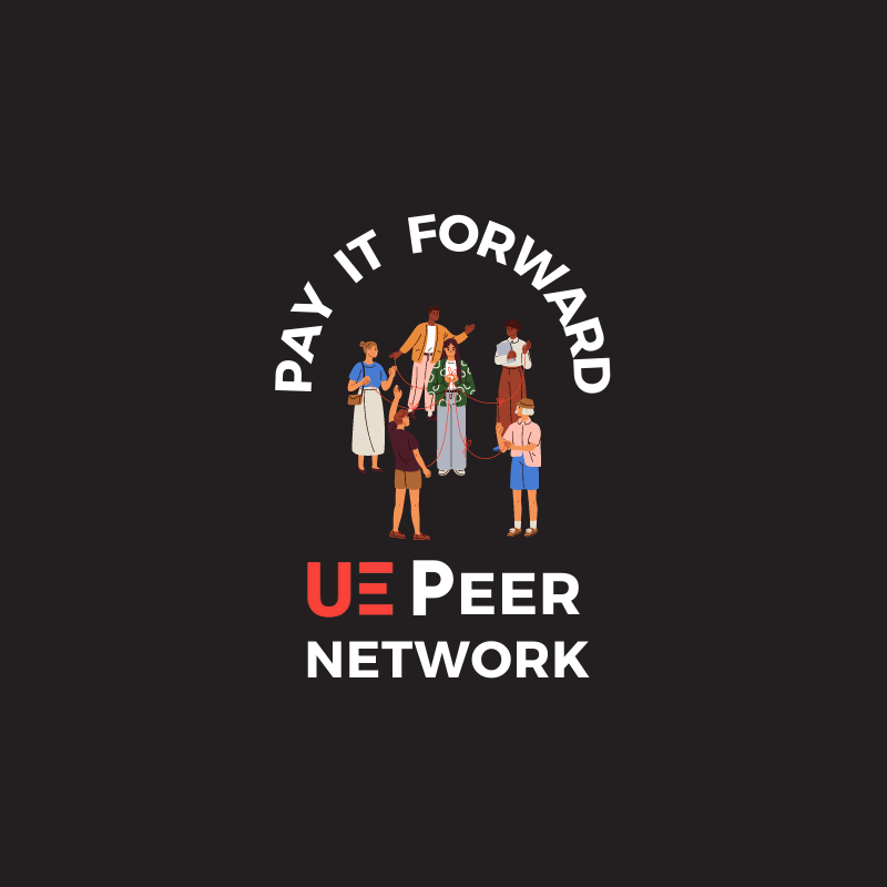 UE Peer Network Programme