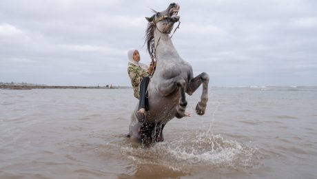 a man riding a horse in the water
